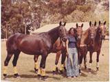 Yooroona Gidget (left) - dam of Master Herbert